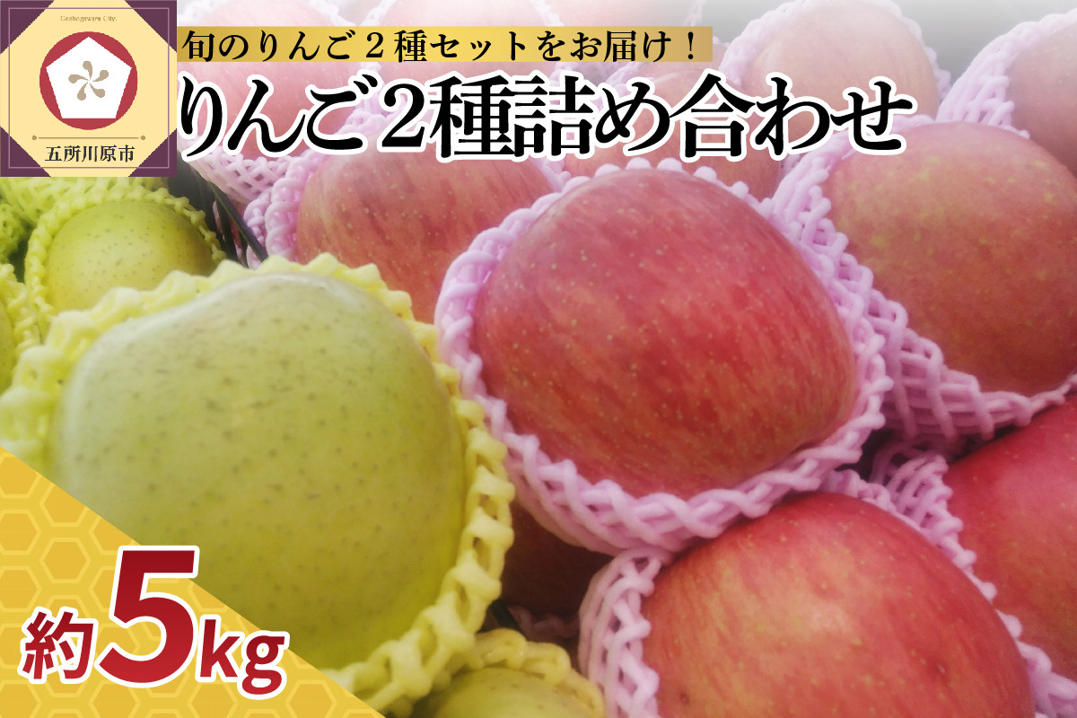 
【選べる配送時期】 りんご 5kg サンふじ 王林 他 紅白 詰め合わせ 青森 （16個～20個入）
