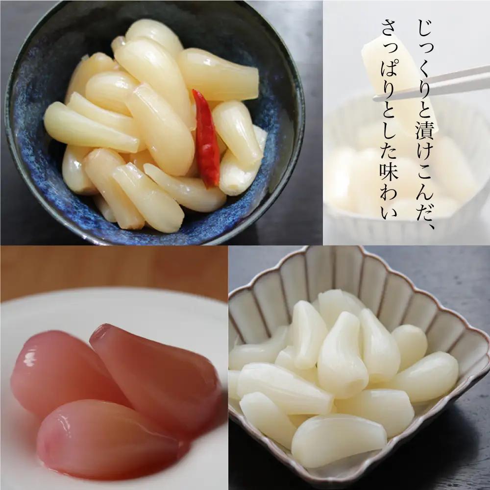 【鹿児島県産】白宝らっきょうプレミアムセット 14P（酢漬け・塩漬け各4P、しそ漬け・黒酢漬け各3P） ラッキョウ 甘酢らっきょう 惣菜 常温保存 ご飯のおとも 野菜 常温 漬物 国産