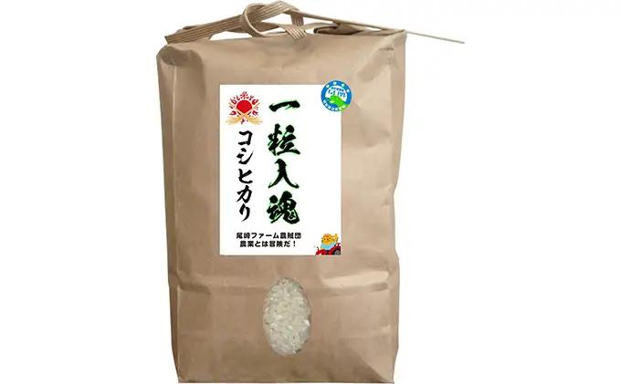 コシヒカリ 令和7年産 栽培期間中減農薬 コシヒカリ 玄米