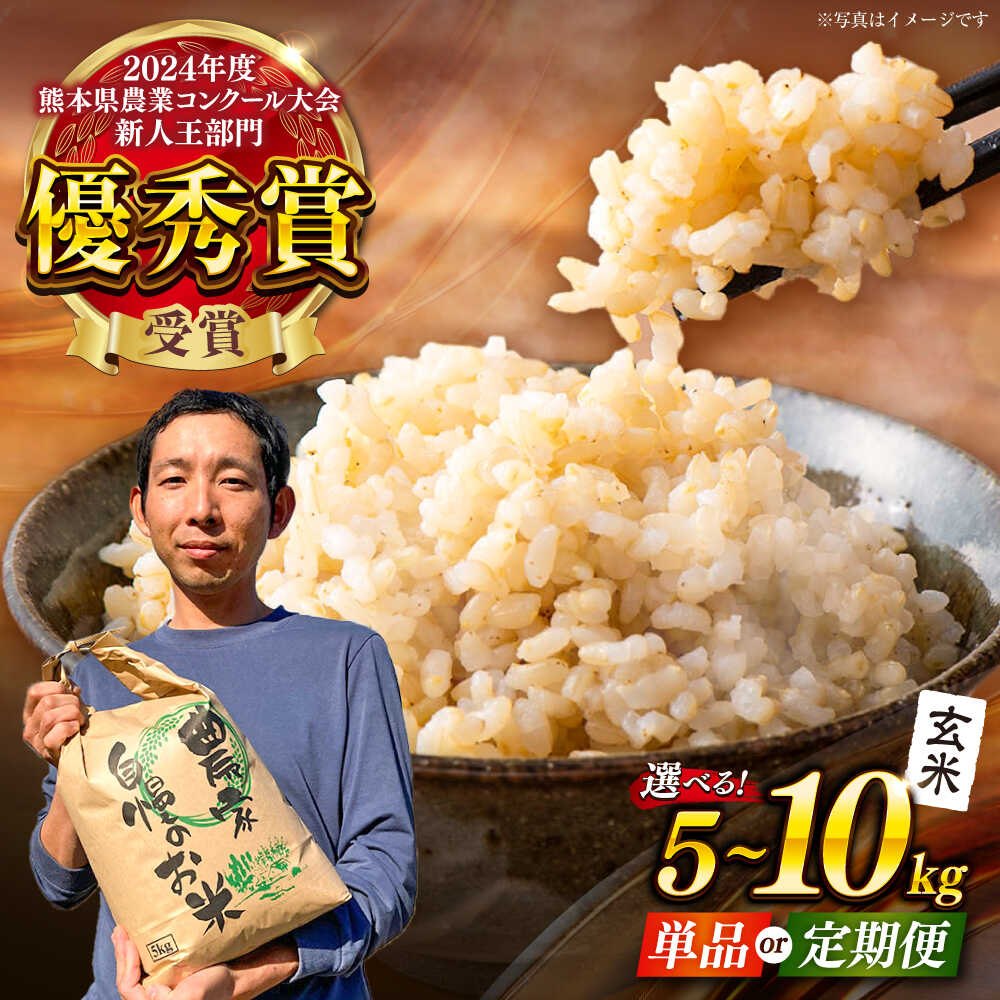 【ふるさと納税】 【令和7年度】 《選べる容量・お届け回数》くまさんの輝き 玄米 5kg /10kg 米 こめ コメ お米 玄米【坂本農園】[AYCC020]