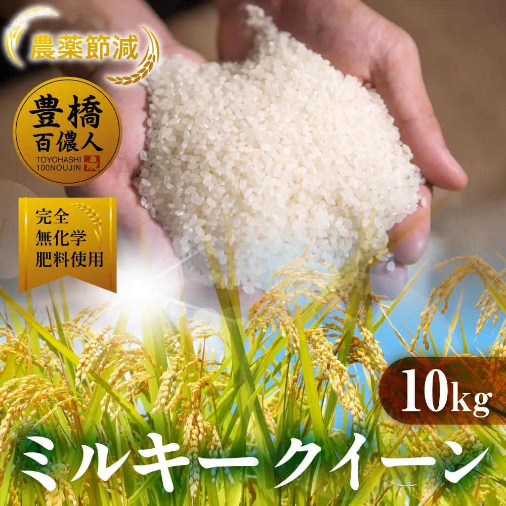令和7年産 ミルキークイーン 10kg 定期便 12回 白米 ブランド米 ミルキー ﾐﾙｷｰｸｲｰﾝ お米 こめ 米 ※ コメ ご飯 生活必需品 日用品 定期 定期配送 人気 美味しい 取り寄せ 10キロ 12か月 送料無料 愛知県 豊橋市