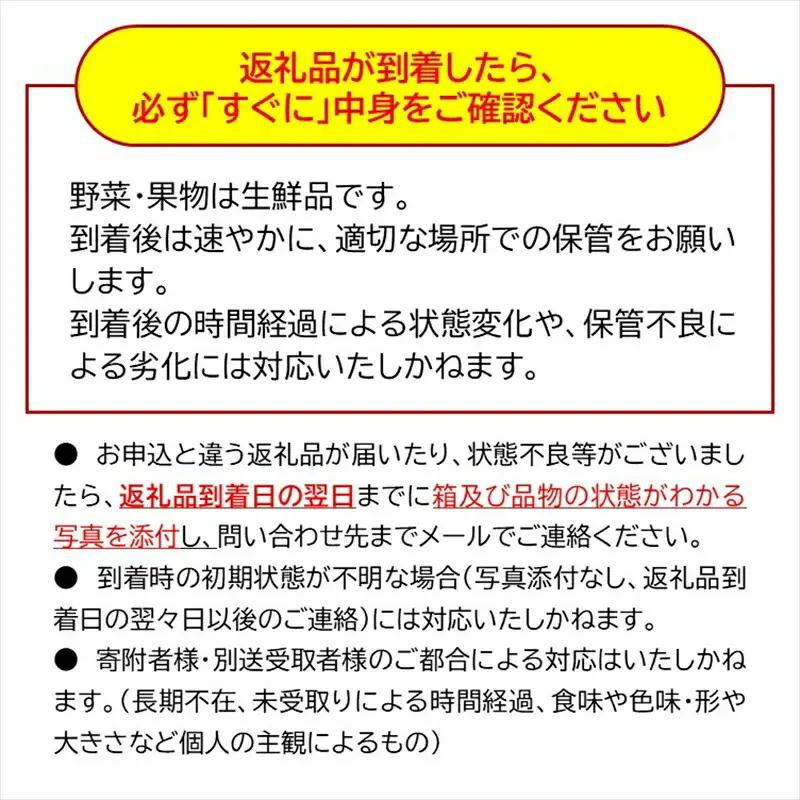 【2026年9月下旬発送】長野県産 生プルーン 約1.6kg ＜沖縄県・離島は発送不可＞ 信州 セイヨウスモモ