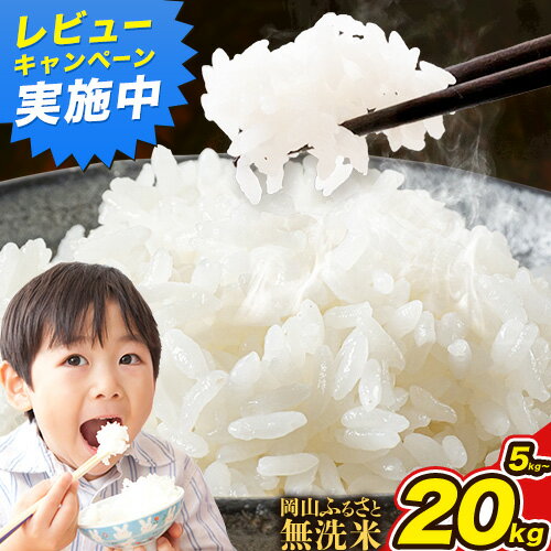【ふるさと納税】【数量限定！】生活応援 米 岡山ふるさと無洗米 選べる内容量 5kg 10kg 15kg 20kg岡山県産 無洗米 《10月中旬-11月末頃順次出荷(土日祝除く)》岡山県 備前市 送料無料 お米 こめ 国産 米 コメ 訳あり 楽天限定