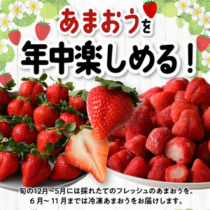 【いちごの年間定期便】　あまおう　約560g（約280g×2パック）× 12月～5月まで計6回　　 冷凍あまおう　1000g（500g×2パック）×6月～11月まで計6回 〔Fi052〕