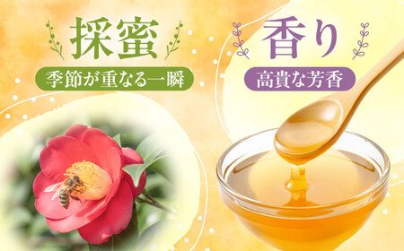 椿はちみつ（200g×2本） / はちみつ 国産 非加熱 純粋 蜂蜜 天然 ハチミツ / 稲沢市 / 椿園株式会社 [BMBI002]