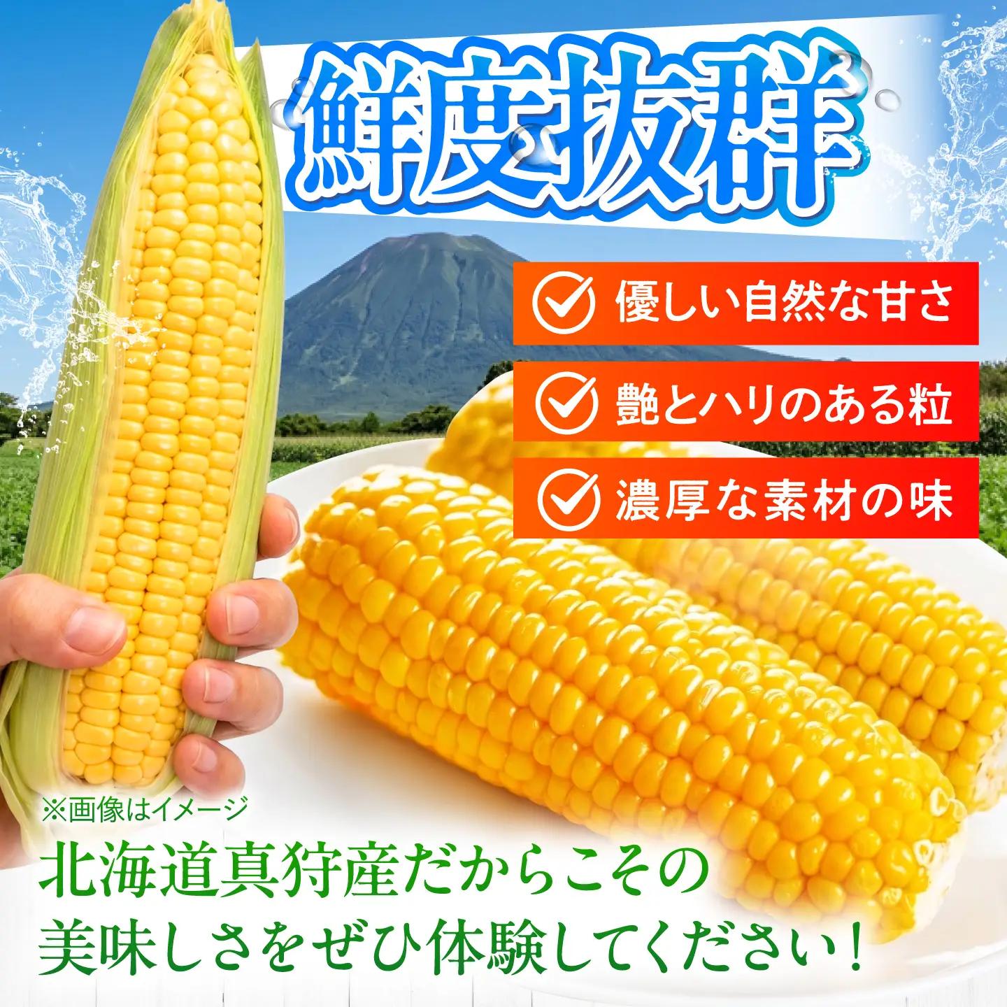 【先行予約】とうもろこし 黄 5kg  [BPAM020] とうもろこし
