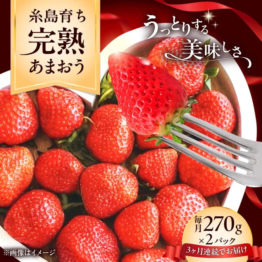 【先行受付】【全3回定期便】福岡県 糸島市産 完熟 あまおう いちご （約270g×2パック） 【2027年3月以降順次発送】 糸島市 / mhshops / 苺 イチゴ[AKQ004]