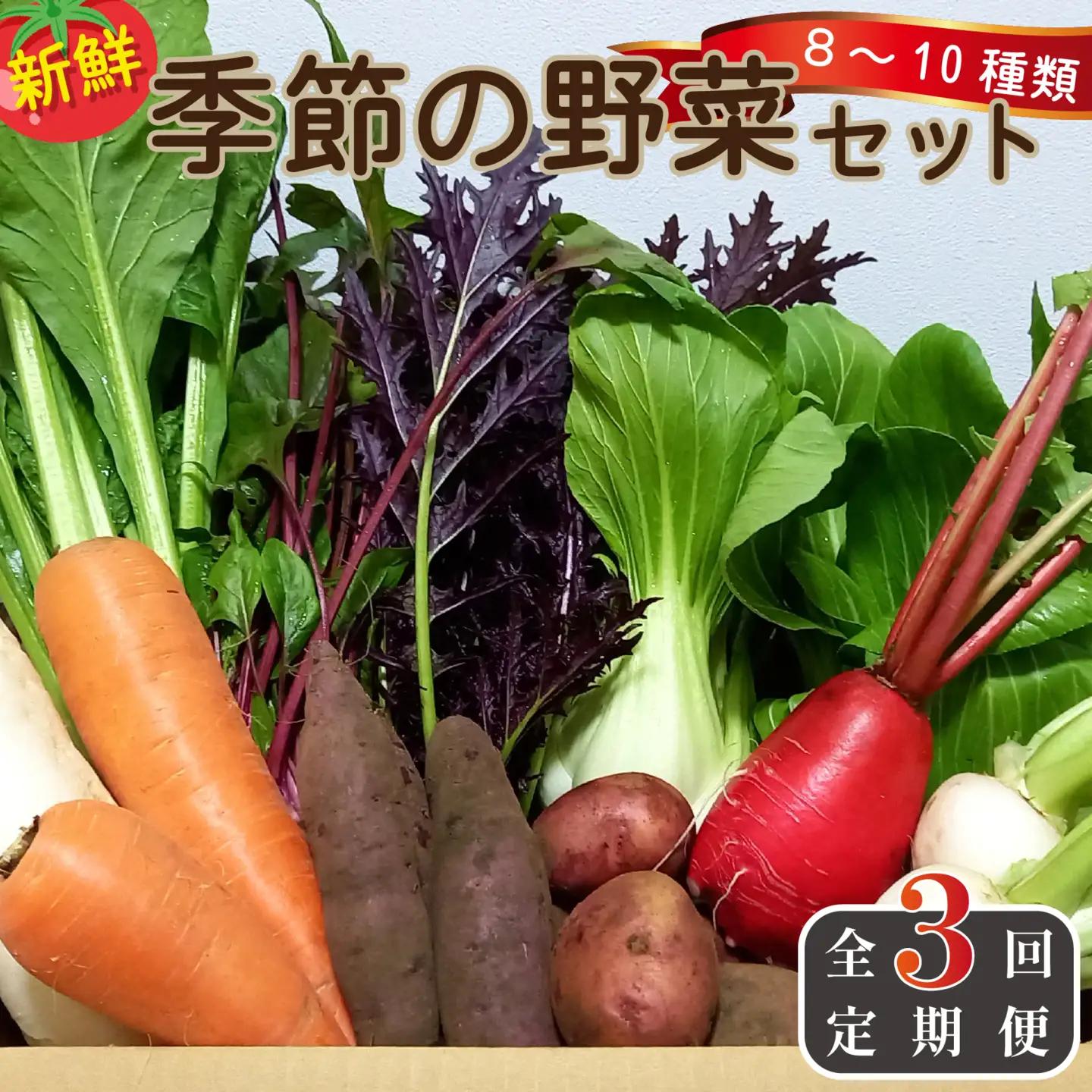 【定期便 全3回】季節の野菜詰め合わせセット（新鮮 採れたて 野菜 セット 定期便 詰め合わせ 宮崎県）