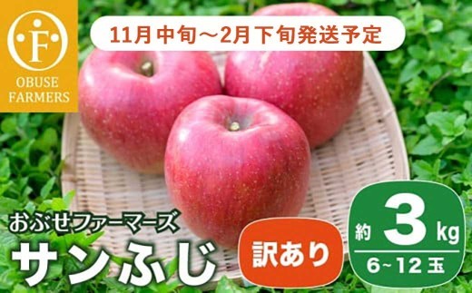【訳あり】 サンふじ 約3kg 6～12玉［おぶせファーマーズ］ 不揃い 規格外 家庭用 りんご 林檎 リンゴ 果物 フルーツ ふじ 長野 信州 数量限定  【2024年11月中旬～2025年5月上旬発送】［FH-51］