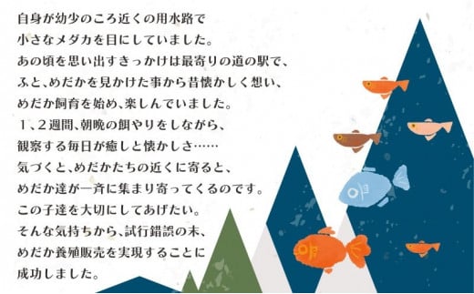 【夏冬めだか屋はるあき】レーヴめだか　(2ペア)　趣味　ペット　アクア　観賞用　若魚　メダカ