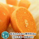 【ふるさと納税】【2025年先行予約】 奄美のたんかん 贈答用 5kg 皮むき器 情報誌付 たんかん 果物 フルーツ 柑橘 奄美産 国産 数量 期間 限定 みしょらんガイド 美味しい ジューシー しーま ふるさと納税 鹿児島 奄美市 おすすめ ランキング プレゼント ギフト