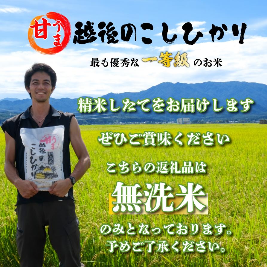 先行予約 こしひかり 無洗米 20kg 令和7年産 甘うま越後の コシヒカリ 米 お米 こめ 新潟米 新潟県産 新潟産 新潟 新潟県 新発田産 新発田 新発田市 斗伸 toushin033