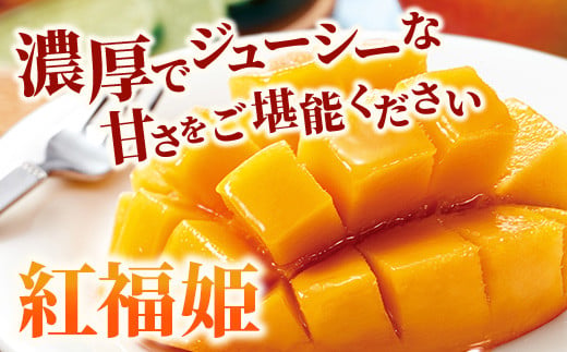 【2026年発送 先行予約】「紅福姫ブランド」石垣島のマンゴー 約1kg 【沖縄県 石垣市 産地直送 旬 石垣島産 マンゴー 完熟マンゴー アーウィン種マンゴー】OT-04