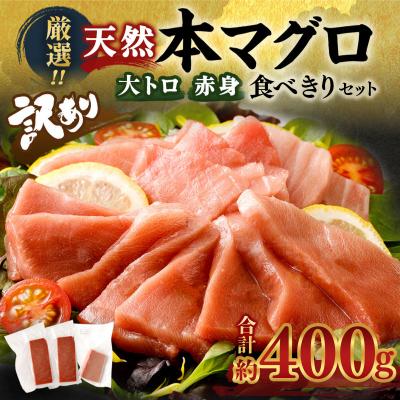 ふるさと納税 室戸市 厳選天然本マグロ大トロ・赤身食べきりセット【約400g】