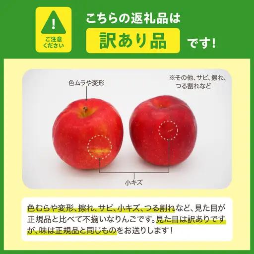 紅玉　訳あり りんご 約10kg 青森県産 りんご