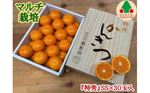 
マルチ栽培 有田みかん 化粧小箱 特秀 SS サイズ 30玉入 南泰園
