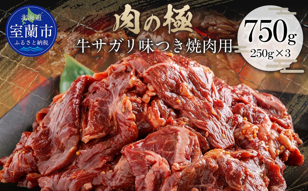 
                  牛サガリ味つき焼肉用 750g (250g×3) 【ふるさと納税 人気 おすすめ ランキング 肉 牛肉 牛サガリ 牛 にく ニク 味付き 焼肉 バーベキュー BBQ 北海道 室蘭市 送料無料】 MROBM028
                