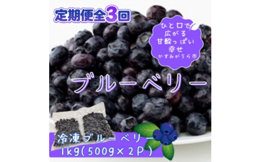 【毎月定期便】冷凍ブルーベリー1kg(500g×2パック)全3回【4092938】