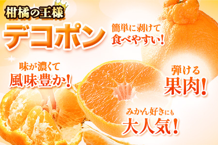 先行予約 デコポン 訳あり デコポン 約 5kg 前後(約12-24玉前後)  《2月上旬-4月上旬頃出荷)》不知火と同品種 フルーツ 果物 みかん 柑橘