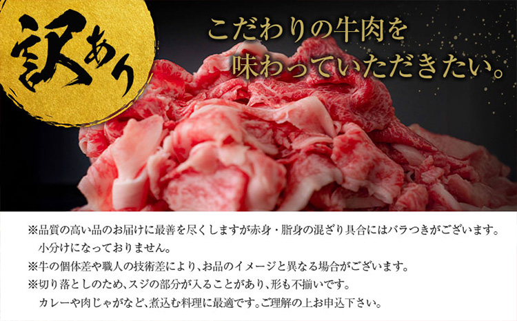 ［訳あり］宮崎黒毛和牛＜こゆ牛＞切り落とし 計1kg※90日以内に出荷【B67】