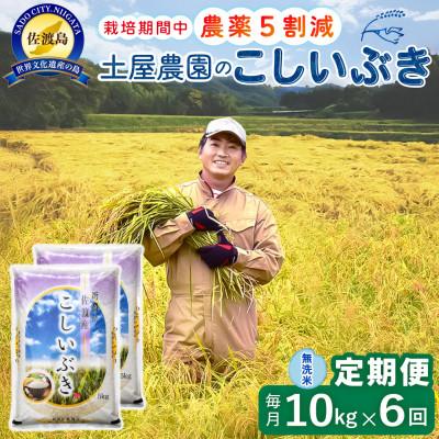 ふるさと納税 佐渡市 【毎月定期便】佐渡島産こしいぶき 無洗米10Kg 土屋農園 農家直送 栽培期間中農薬5割減 全6回