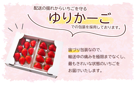 暖家のいちご　ギフト用完熟あまおう（８粒～９粒）×2パック 3Z1-S