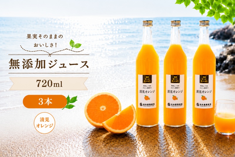 清見 オレンジ 100% ジュース / きよみ オレンジ ストレート 果汁 無添加 柑橘 和歌山 12000円 720ml ※北海道・沖縄・離島への配送不可 //drink 【ikd100-kiy72