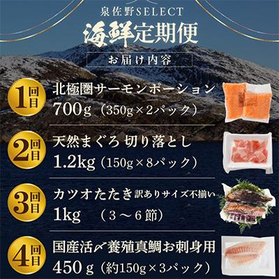 ふるさと納税 泉佐野市 【毎月定期便】泉佐野厳選 豪華海鮮をお届け(サーモン まぐろ かつお 真鯛)全4回 099Z161 |  | 03