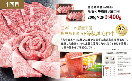 【厳選焼肉定期便】黒毛和牛・ブランド豚・牛タン 全3回コース 牛肉 焼肉 焼き肉 BBQ バーベキュー 豚肉 バラ ロース 牛タン お肉 小分け 冷凍 定期配送 カミチク スターゼン JA食肉かごしま