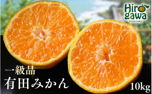 有田みかん 10kg / 和歌山 有田 広川 みかん ミカン 柑橘 果物 くだもの ギフト フルーツ 果実 ※2026年11月中旬～1月下旬頃に順次発送予定【hkt004-p-10】