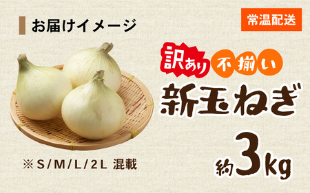 淡路島 新玉ねぎ 3kg 訳あり サイズ不揃い 簡易箱でお届け / 新玉ねぎ