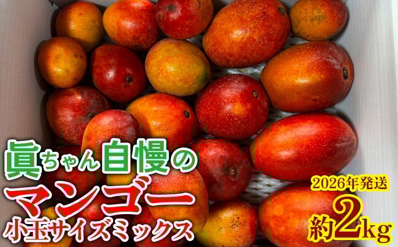 
            眞ちゃん自慢のマンゴー　小玉サイズミックス【約2kg】2026年発送 マンゴー まんごー ミニマンゴー みにまんごー サイズ不揃い ふぞろい 小玉マンゴー 訳あり 農家応援 生産者応援 規格外 小玉 ジューシー 南国 濃厚 お裾分け 沖縄 国産マンゴー 沖縄県 東村
          