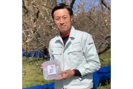 【0532-5】紀州南高梅 はちみつ梅500g、優梅500g 食べ比べセット