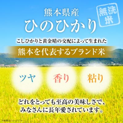 ふるさと納税 八代市 【令和7年産】 熊本県産 無洗米 熊本ひのひかり 5kg (5kg×1袋)_132-5123-B |  | 02