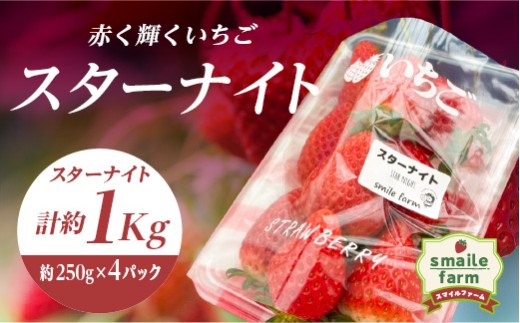 スマイルファーム 赤く輝くいちご スターナイト 約1kg FAF-0040