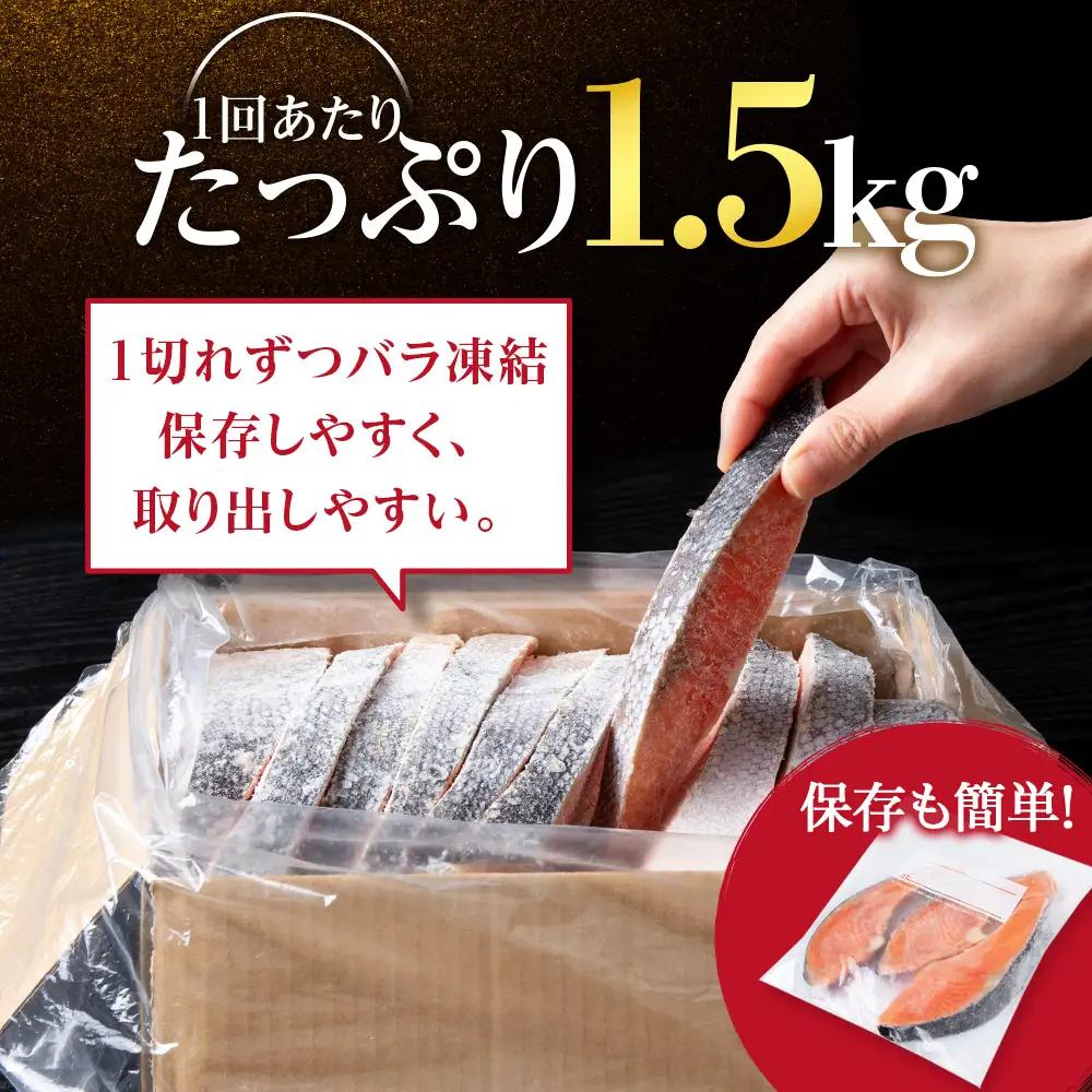 【3ヵ月定期便 】訳あり 塩銀鮭 切り身 1.5kg バラ凍結 職人手切り 北海道知内町加工 三洋食品 冷凍 鮭 お弁当 おかず