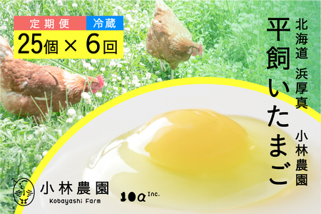 【 卵 定期便 6カ月 】平飼い 有精卵 25個 計150個【冷蔵便】たまご 玉子 生卵 鶏卵 北海道 全6回 [AXAN005]