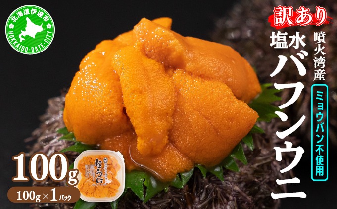 訳あり 北海道 噴火湾産 塩水 バフンウニ 100g 1パック 《アフター保証付き》うに ウニ 雲丹 海鮮 海の幸 魚介類 ウニ丼 お寿司 濃厚 無添加 産地直送 お取り寄せ 山村水産 送料無料
