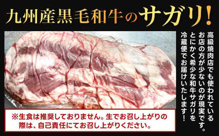 幻のサガリ これが和牛のサガリです 黒毛和牛 和牛 サガリ 肉 お肉 高級 サシ 焼肉 BBQ 希少 新鮮 国産 九州産 冷蔵【2024年10月上旬～10月下旬発送予定】