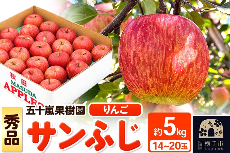 
                  【先行受付】12月中旬より発送 サンふじ【秀品】約5kg（14～20玉）りんご 林檎 [先行予約 サンふじ サンフジ 林檎 リンゴ フルーツ 果物 【りんご】特集]
                