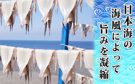 イカ 生干しイカ 4枚（1枚約200g×4枚） 炭火焼きイカ 4パック いか セット 干物 干物セット するめ スルメ スルメイカ 海鮮 魚介類 魚介 海産物 惣菜 青森県 鰺ヶ沢町 ※ご入金確認後 