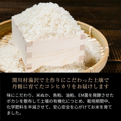 R8年産 土作りからこだわった岩船産コシヒカリ 精米5kg[用助商店]