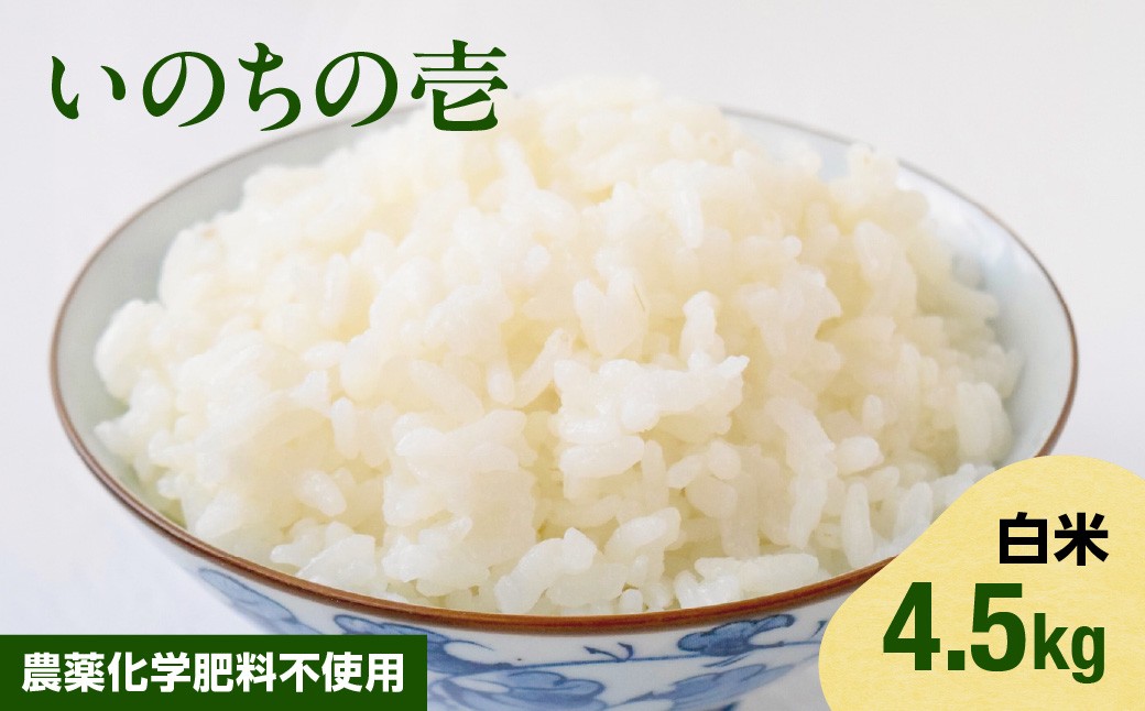 
                  【2026年11月以降発送】いのちの壱・白米4.5kg（農薬化学肥料不使用） いのちの壱 白米4.5㎏ 農薬化学肥料不使用 ふるさと納税 米 お米 白米 いのちの壱 大粒米 無農薬・化学肥料不使用 千葉県 多古町 TAKAF001
                