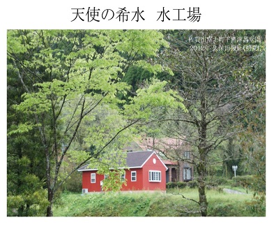 『天使の希水』500ml×24本入り(計12L):B170-003