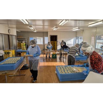 ふるさと納税 陸前高田市 ドライフルーツ ソフトチップりんごさん 30g×2袋 乾燥りんご 輪切り お菓子 おやつ |  | 02