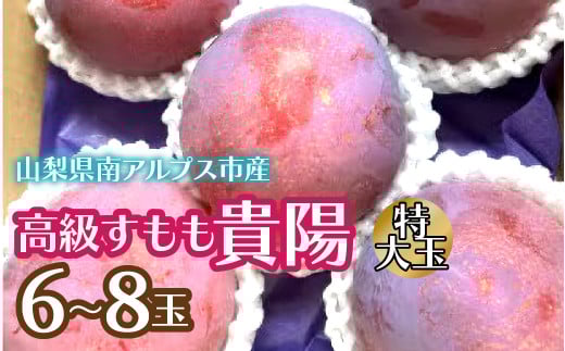 ＜2026年発送先行予約＞高級すもも「貴陽」特大玉6～8玉 ALPCZ012