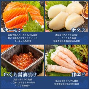 【毎月定期便】連続3回 お刺身・海鮮丼 盛り合わせセット×5パック 6種類/冷凍 小分けパック全3回【配送不可地域：離島】【4067965】