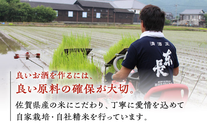 【6回定期便】銀紋東長 1.8L 1本 【瀬頭酒造】 [NAH068] 日本酒 酒 地酒 東長 佐賀県 嬉野市