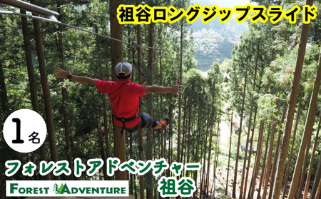 フォレストアドベンチャー 祖谷 ロングジップスライド 1名 チケット 観光【観光】
