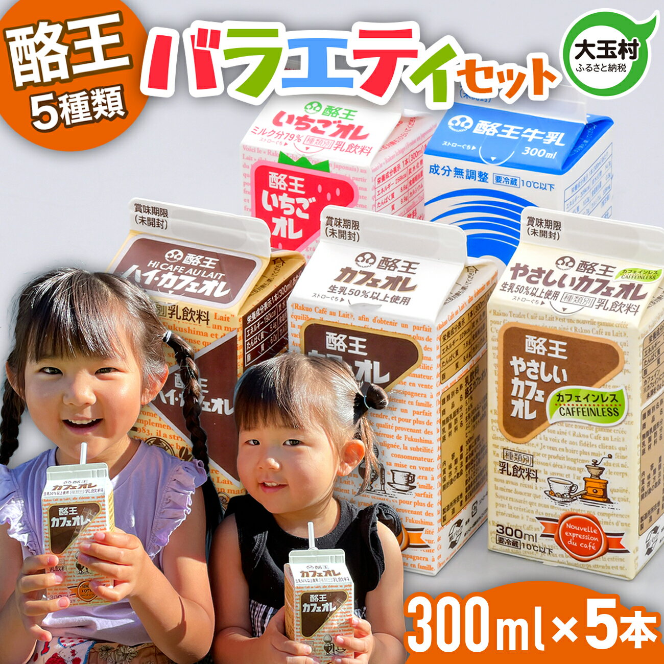【ふるさと納税】 酪王 バラエティ セット 300ml×5本セット ｜ 酪王カフェオレ 福島県 大玉村 生乳 牛乳 こども キッズ ミルク カフェオレ カフェ コーヒー いちごオレ 飲みきり ご当地 福島県 大玉村 | pl-va-300ml-5s